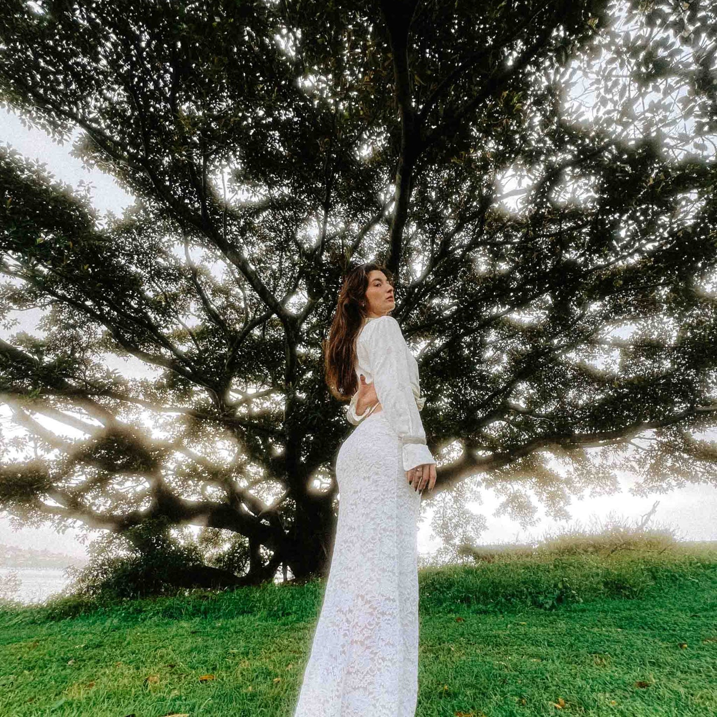 Dreamy Filter